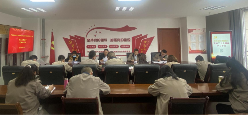 錘煉黨性找差距 堅定信念促擔當&mdash;&mdash;青海物產朝陽物流開發(fā)投資有限公司黨支部開展主題教育黨性大討論