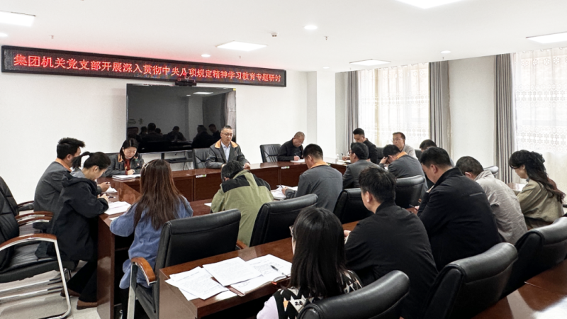 集團機關黨支部開展深入貫徹中央八項規(guī)定精神學習教育專題研討