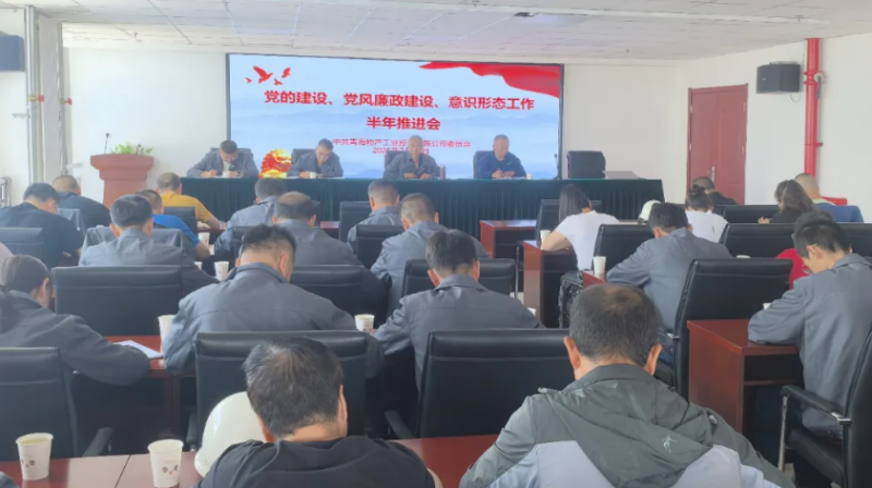 工投公司黨委召開黨的建設(shè)、黨風(fēng)廉政建設(shè)、意識(shí)形態(tài)工作半年推進(jìn)會(huì)